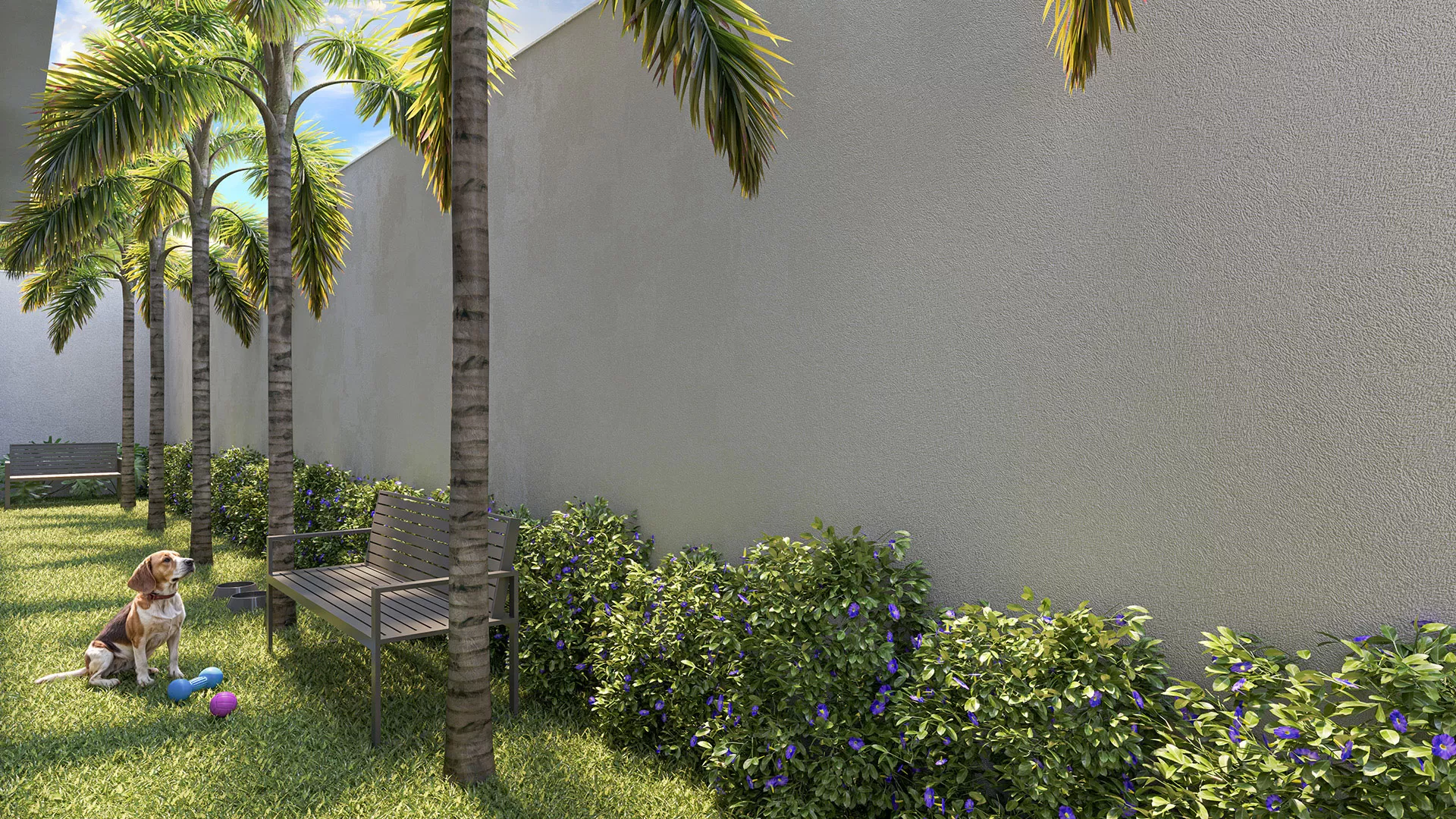 hi-vila-clamentino-13-PETPLACE