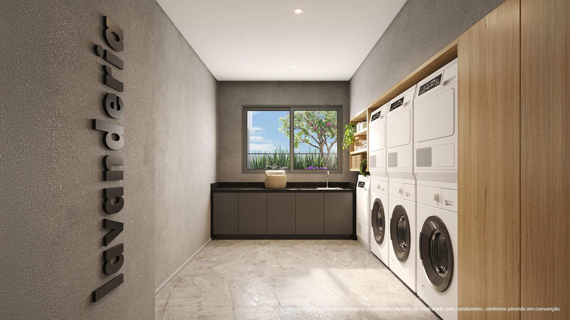 VPMOEMA-LAVANDERIA-1