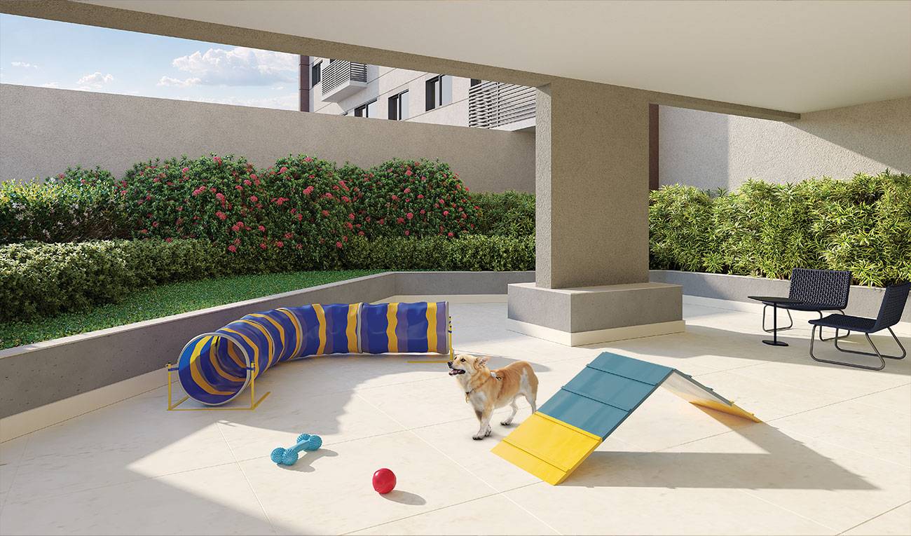 Perspectiva Ilustrada do Pet Place